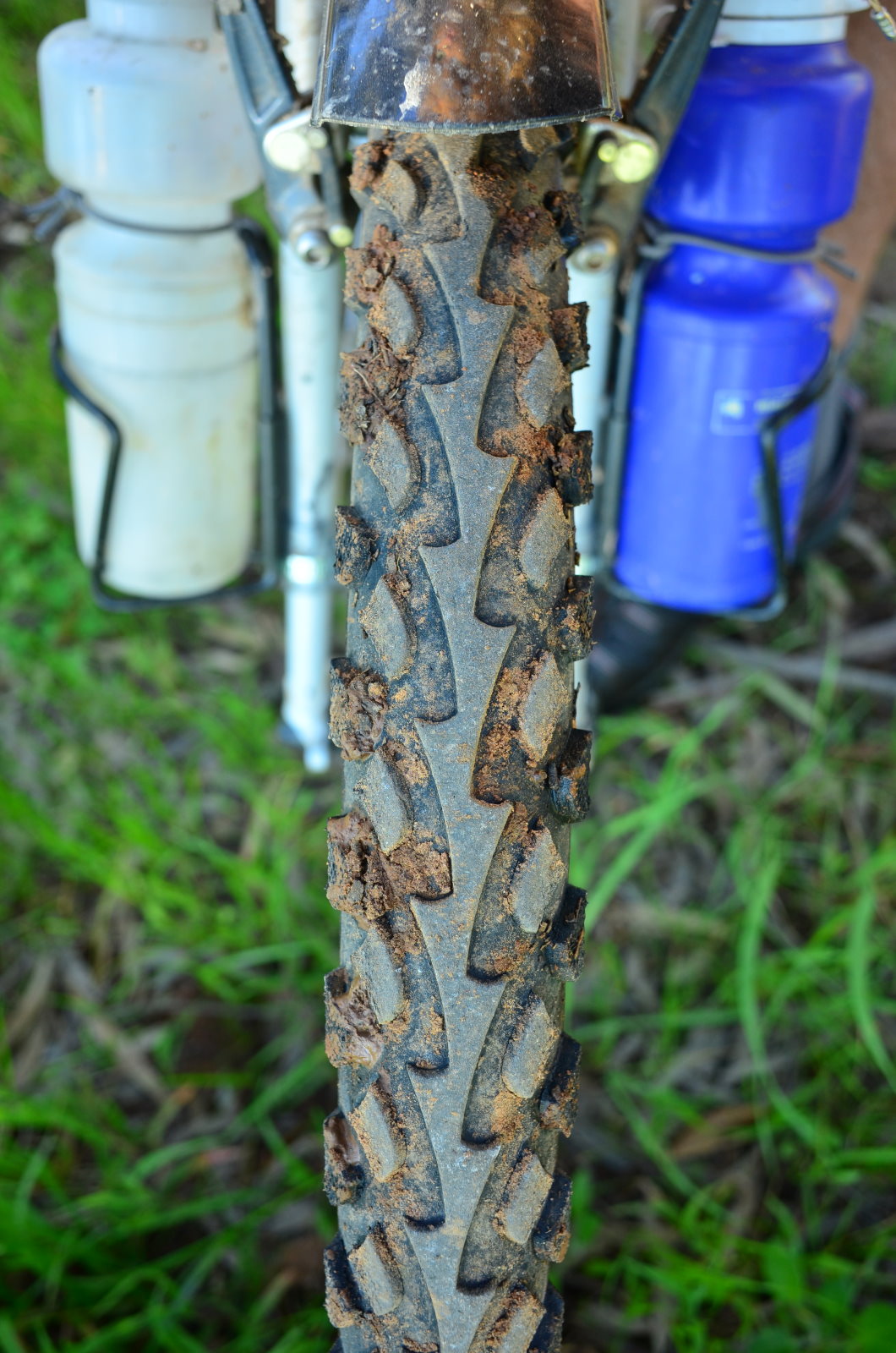 dsc_0077_023