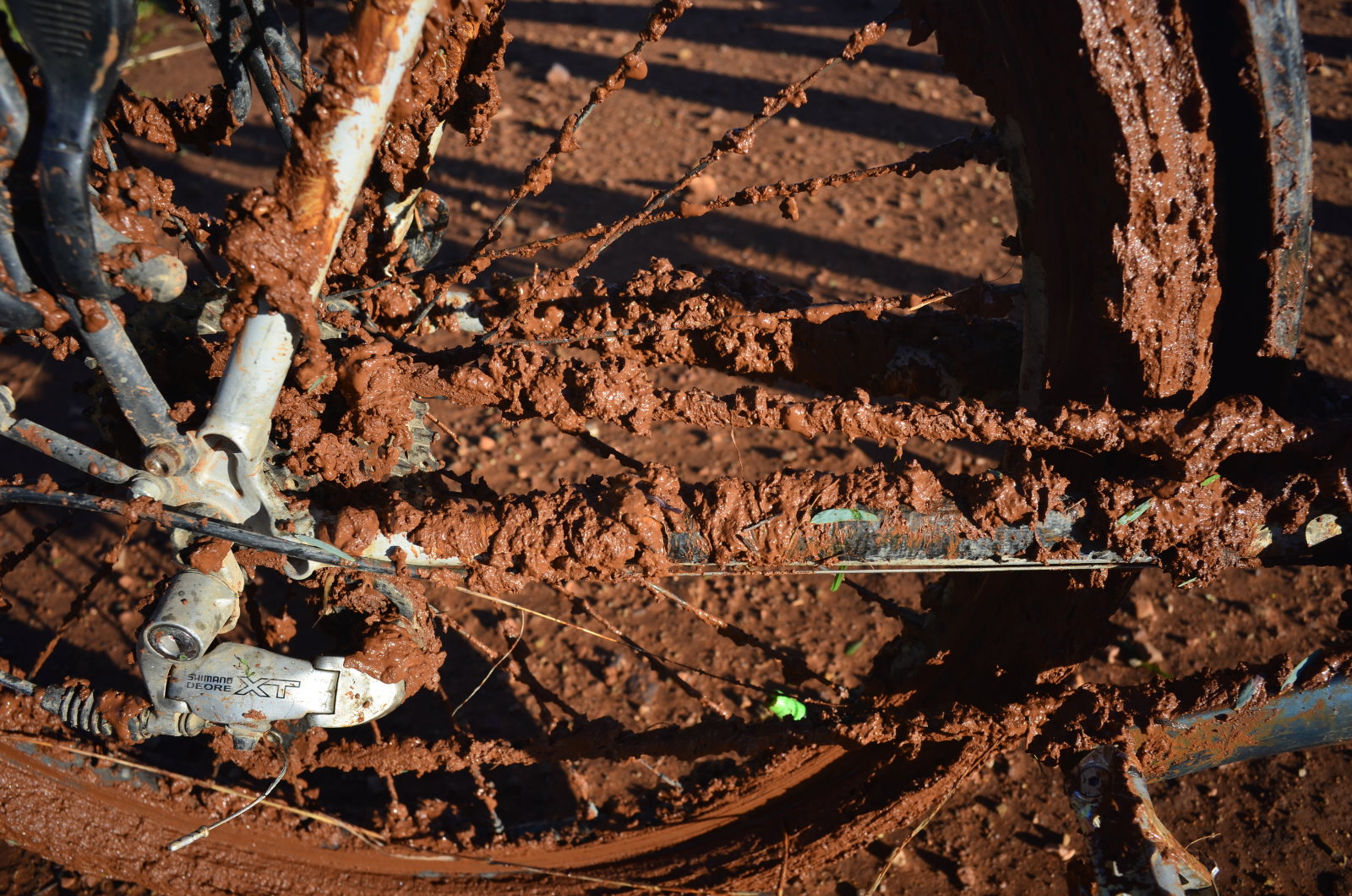 davidhume-mawson-20150519-119-_018